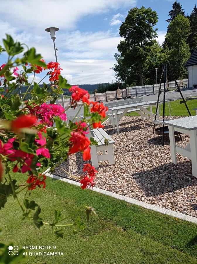 Вилла Caloroczny Osrodek Wypoczynkowy Comfort House Душники-Здруй Экстерьер фото